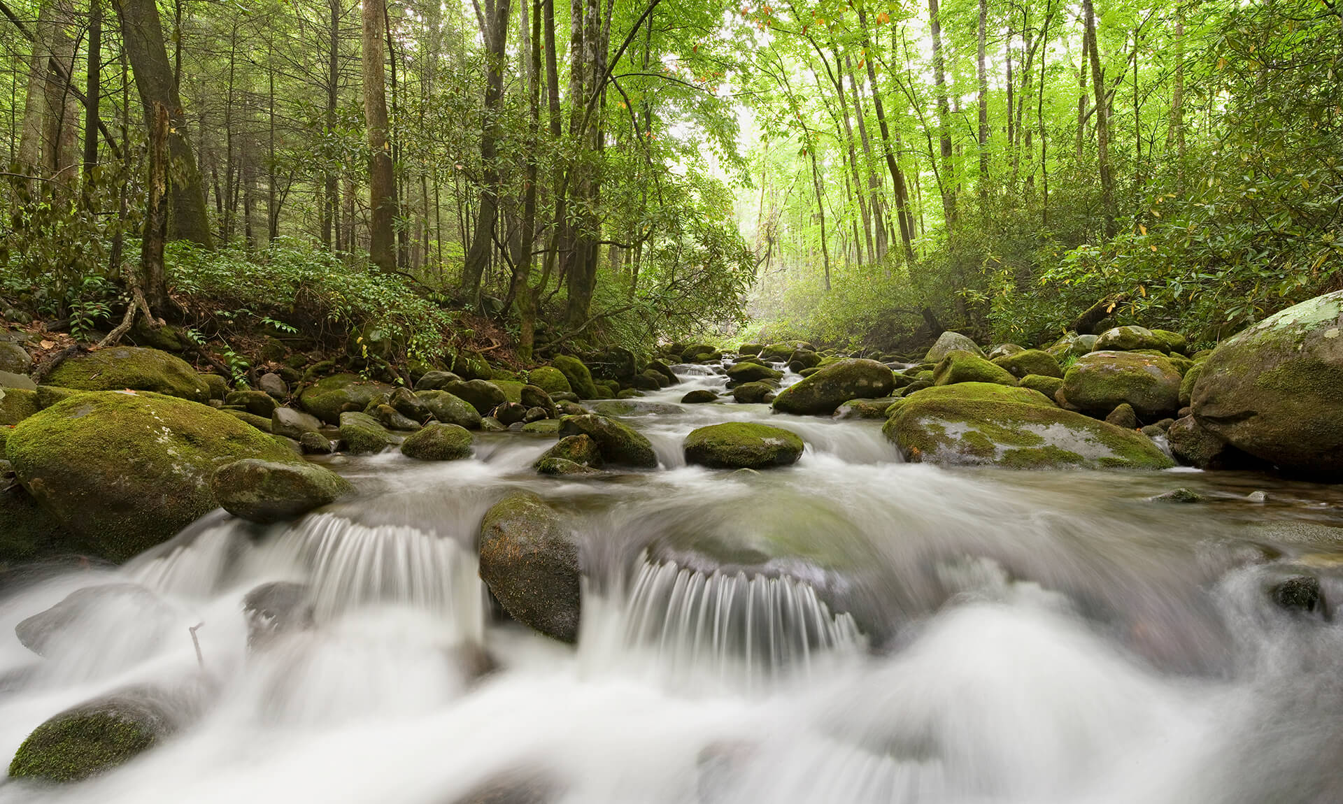 Appalachian Trail Creek