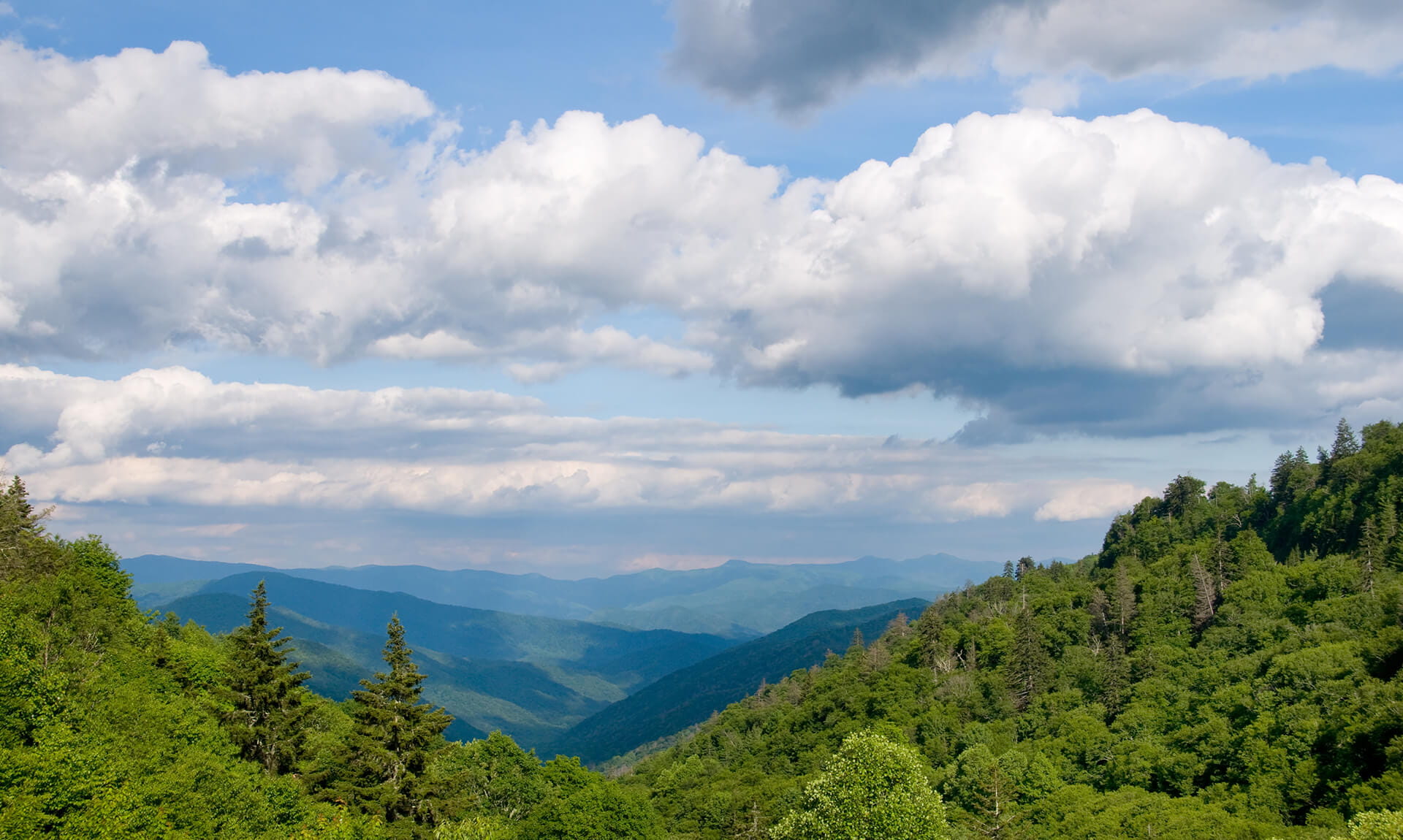 Gene Rice - Wealth Preservation Advisors - Chattanooga, TN